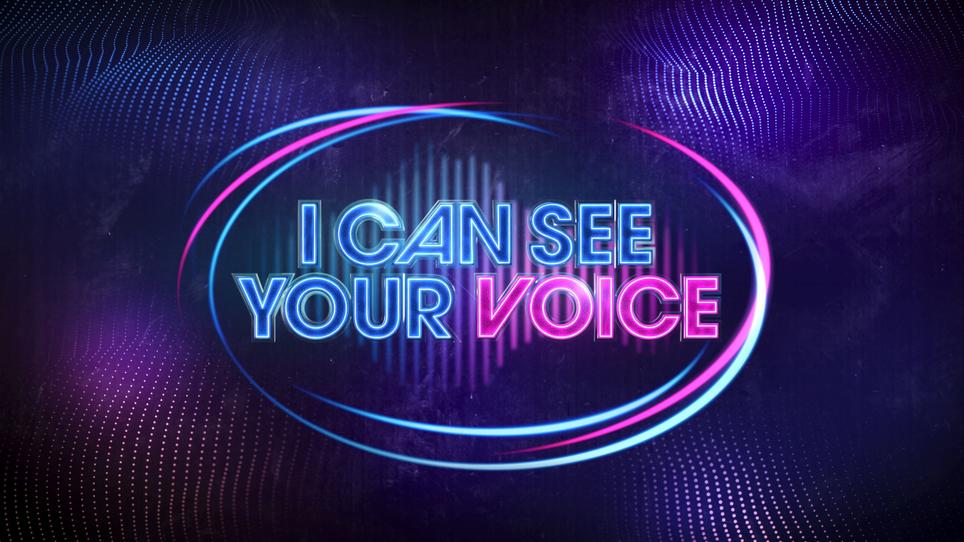 I Can See Your Voice I Can See Your Voice