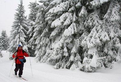 wintersport wintersport