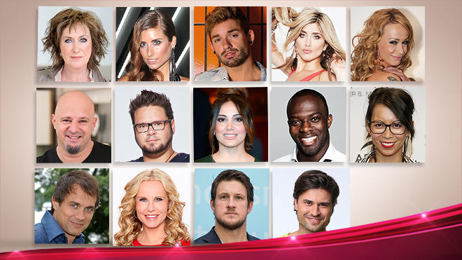 Let's Dance 2015 Kandidaten Let's Dance 2015 Kandidaten