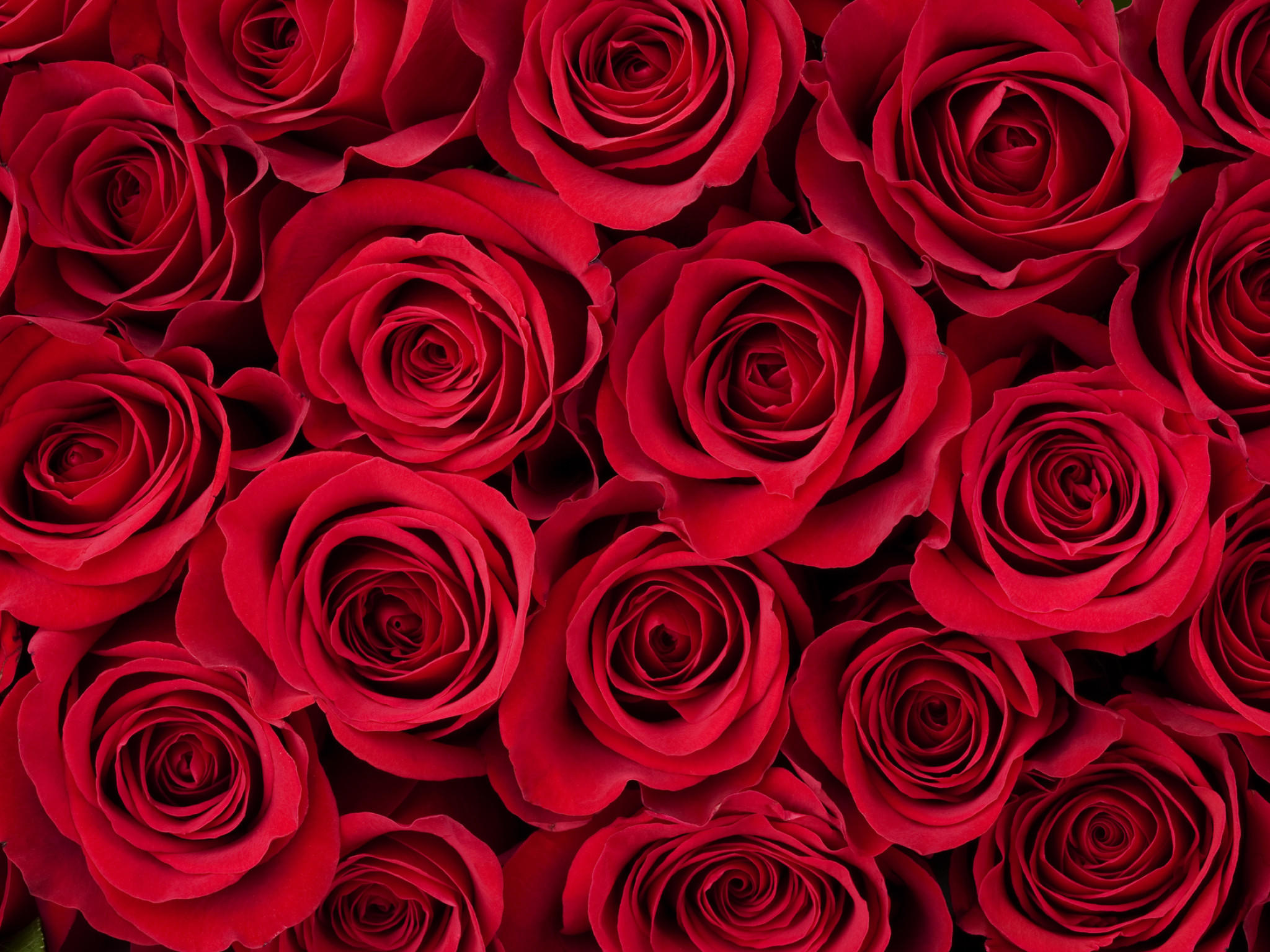 Die Bachelorette 2018 Songs Die Bachelorette 2018 Songs