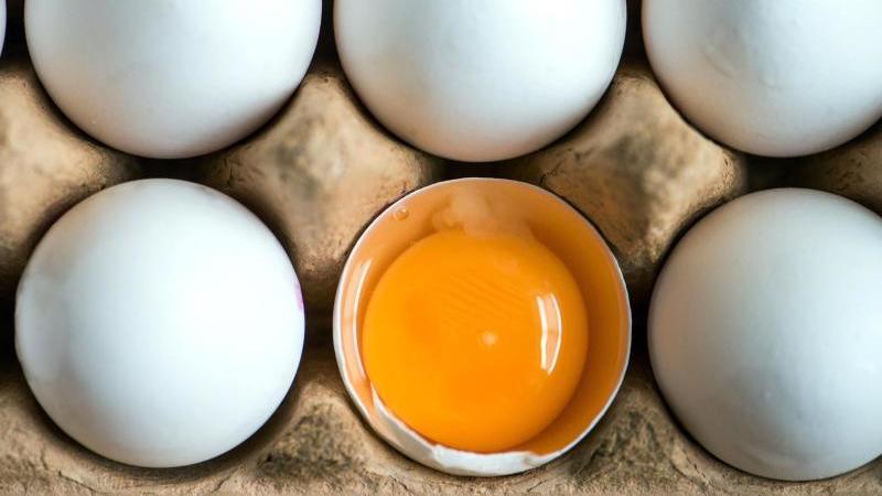 73.000 Fipronil-Eier in deutschen Handel gelangt Fipronil-Krise