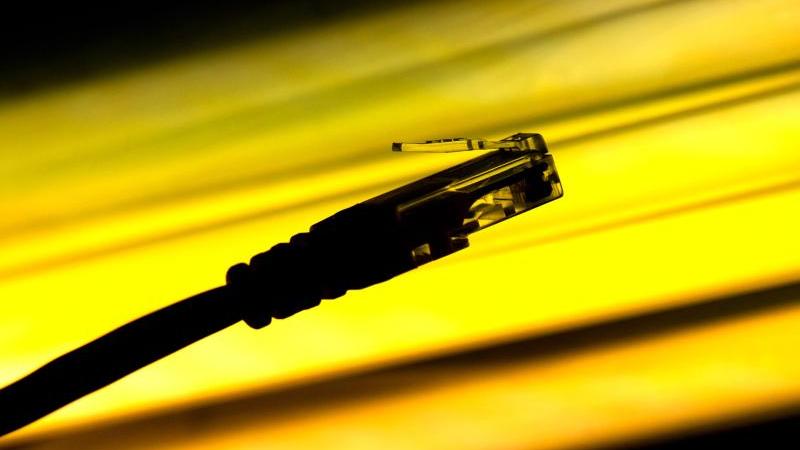 Mittelständler brauchen endlich schnelles Internet Ein LAN-Kabel