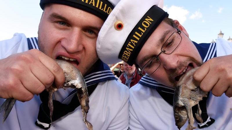 Glückstadt feiert Matjes mit traditionellem Sommerfest Glückstädter Matjeswochen