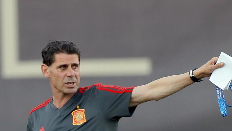 Die WM-Favoriten im Formcheck Trainerwechsel