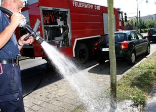 In Brandenburg rufen Städte und Gemeinden Bürger dazu auf, Bäume und Pflanz... weiterlesen