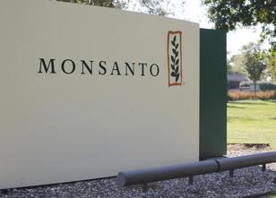 Der jüngst vom Bayer-Konzern übernommene Saatgutriese Monsanto muss sich er... weiterlesen