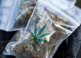 Fast neun Kilogramm Marihuana hat die Polizei in einer Wohnung in Wismar en... weiterlesen