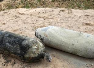 Im Süden Schwerins werden heute drei Bomben aus dem Zweiten Weltkrieg gespr... weiterlesen