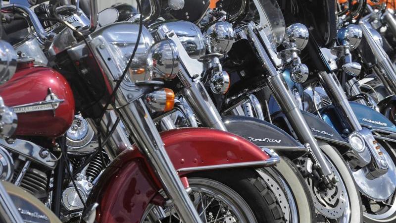 Harley Days locken echte und Freizeitrocker nach Hamburg Motorräder stehen aufgereiht bei den "Harley Days"