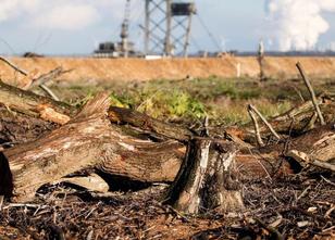 Der Bund für Umwelt und Naturschutz (BUND) fordert während der Verhandlunge... weiterlesen