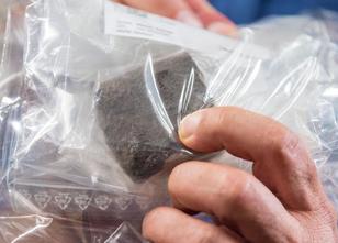 Er wollte eine unschöne Plastiktüte aus seiner Gartenhecke entfernen und fa... weiterlesen