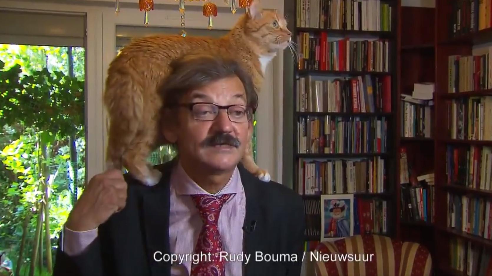 Katze stiehlt polnischem Professor bei TV-Interview die Show! Katze auf den Schultern von Jerzy Targalski