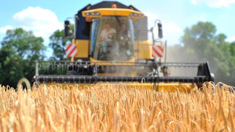 Getreideernte in vielen Betrieben so früh wie nie Getreideernte