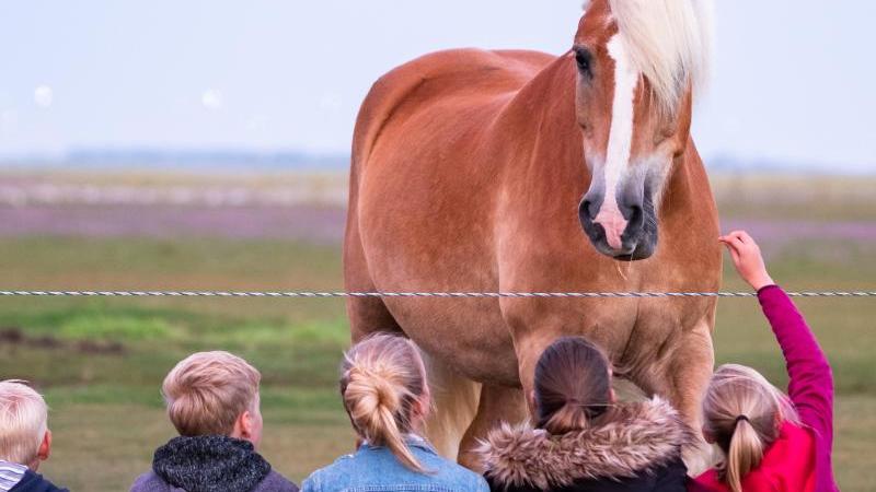 Kinder auf Nordseeinseln starten verspätet in die Ferien Kinder auf Nordseeinseln starten verspätet in die Ferien