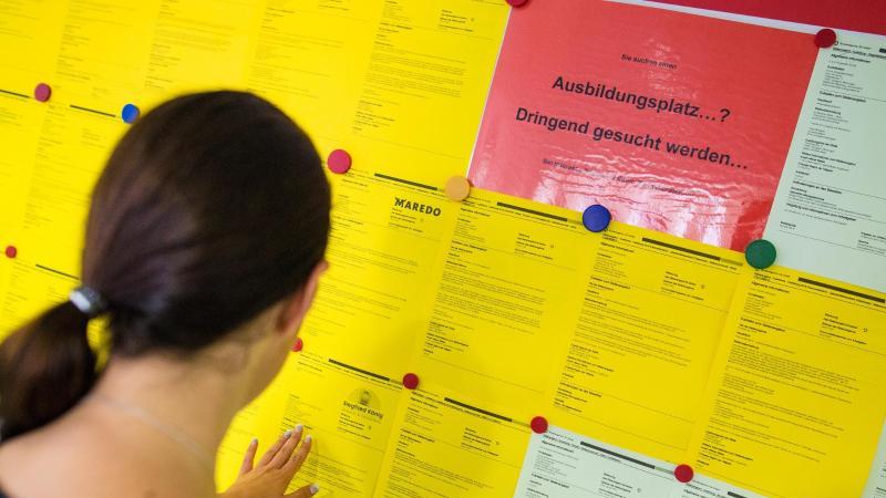 Noch 800 freie Lehrstellen an der Seenplatte Freie Ausbildungsstellen