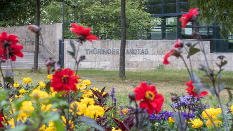 Mahnmal für NSU-Opfer: Landesregierung schlägt Erfurt vor Blumen im Park vorm Thüringer Landtag sind zu sehen