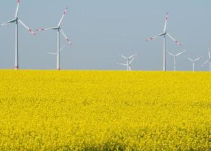 Mecklenburg-Vorpommern wird die selbst gesteckten Ziele in der Energiewende... weiterlesen