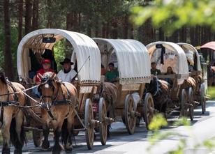 Ein Pferde-Treck mit Planwagen hat sich am Mittwoch in Brück im Fläming auf... weiterlesen
