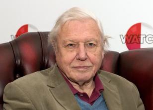 Tierfilmer Sir David Attenborough (92, weiterlesen