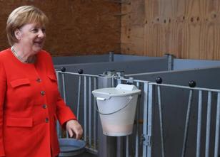 Kanzlerin Angela Merkel (CDU) hat beim Besuch eines Milchviehbetriebs im sc... weiterlesen