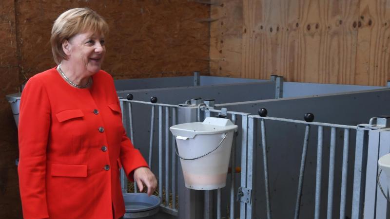 Merkel: Milchbauern brauchen gewisse Sicherheit bei Preisen Merkel besucht Milchviehbetrieb