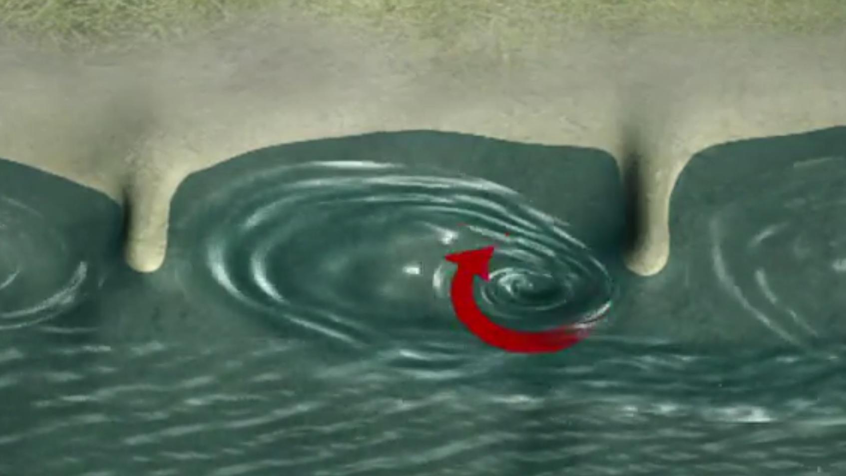 Gefährliche Strömungen: Deshalb sollten Sie nicht in Flüssen schwimmen Diese Grafik zeigt, welche Strömungen sich zwischen zwei Buhnen ergeben. Der Sog, der entsteht, kann einen Menschen in die Tiefe ziehen.