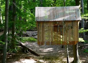 Die 23 Künstler des 9. Internationalen Waldkunstpfads in Darmstadt reisen a... weiterlesen