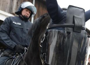 Die Polizei in Hessen kann bei ihren Einsätzen auf 16 Pferde und 222 Hunde ... weiterlesen