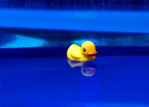 Anbieter von Pools und Planschbecken für den heimischen Garten in Sachsen-A... weiterlesen