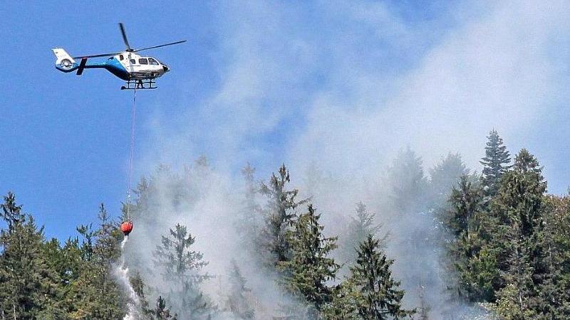 Brand im Bergwald hält Einsatzkräfte in Atem Waldbrand in einem Bergwald