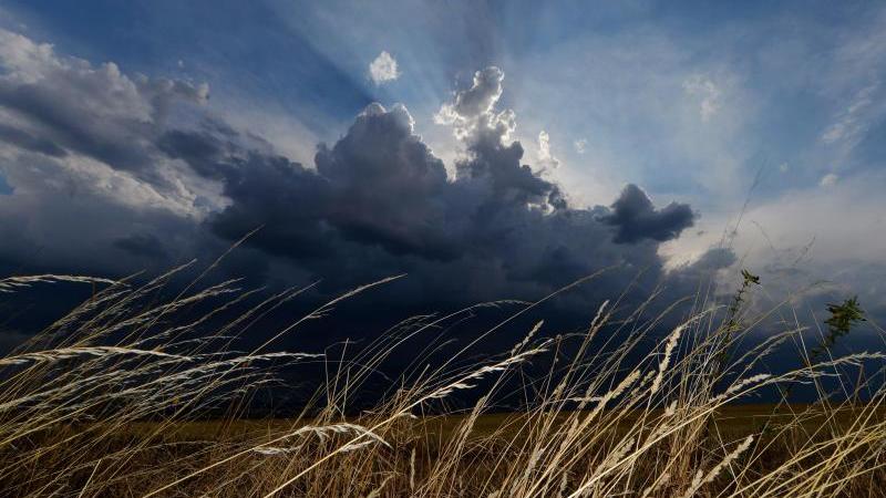Gewitter und Starkregen richten kaum Schäden an Gewitterwolken über einem Feld