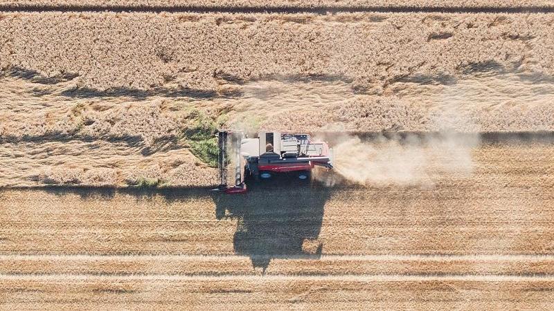 Schwesig und Backhaus einig bei Dürre-Hilfen: Umdenken nötig Mähdrescher fährt über ein Getreidefeld