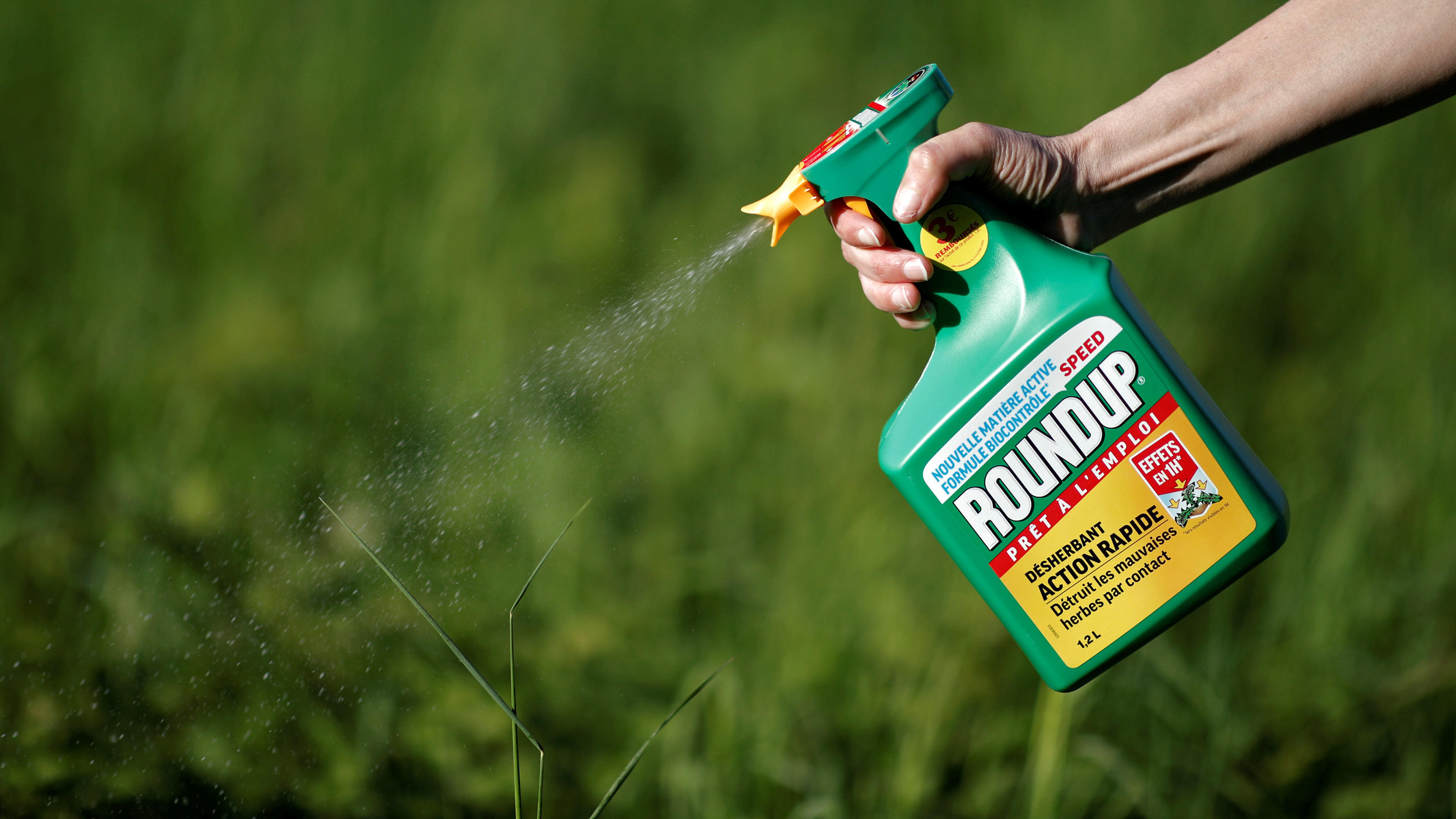 US-Gericht: Monsanto soll Krebs-Opfer 253 Millionen Euro zahlen – Glyphosat-Hersteller wehrt sich FILE PHOTO: A woman uses a Monsanto's Roundup weedkiller spray without glyphosate in a garden in Ercuis near Paris, France, May 6, 2018. REUTERS/Benoit Tessier/File Photo