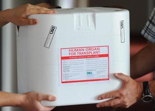 Fünf Jahre nach Beginn des Prozesses um den Göttinger Transplantations-Skan... weiterlesen