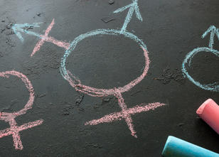 Das Bundeskabinett als Dritte Geschlechtsoption
