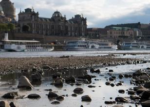 Die anhaltende Dürre und der damit verbundene niedrige Wasserstand der Elbe... weiterlesen