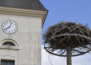 Die Storchenreise aus Sachsen-Anhalt in südliche Gefilde ist in vollem Gang... weiterlesen