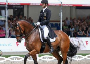 Sönke Rothenberger aus Bad Homburg hat die Kräfteverhältnisse in der Dressu... weiterlesen