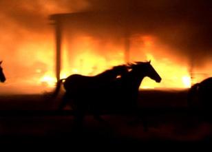 Ein Brand hat am Sonntagabend in einer Lager- und Maschinenhalle in Nortrup... weiterlesen