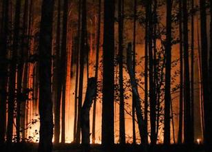 Brandenburg erlebt derzeit eines der schlimmsten Waldbrandjahre. Bisher hab... weiterlesen