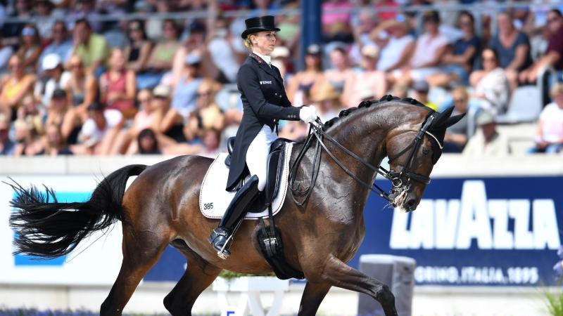 Dressur-Team nach dem ersten WM-Tag auf Rang eins Bredow-Werndl