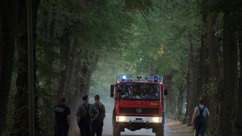 Waldbrand in Königsbrücker Heide unter Kontrolle Waldbrand in Königsbrücker Heide