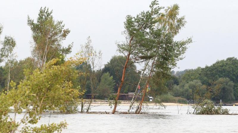 Inselstück abgerutscht: Teil des Senftenberger Sees gesperrt Bäume stehen im Wasser