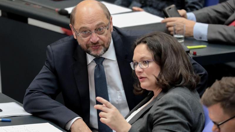 Was die SPD treibt Bundestag