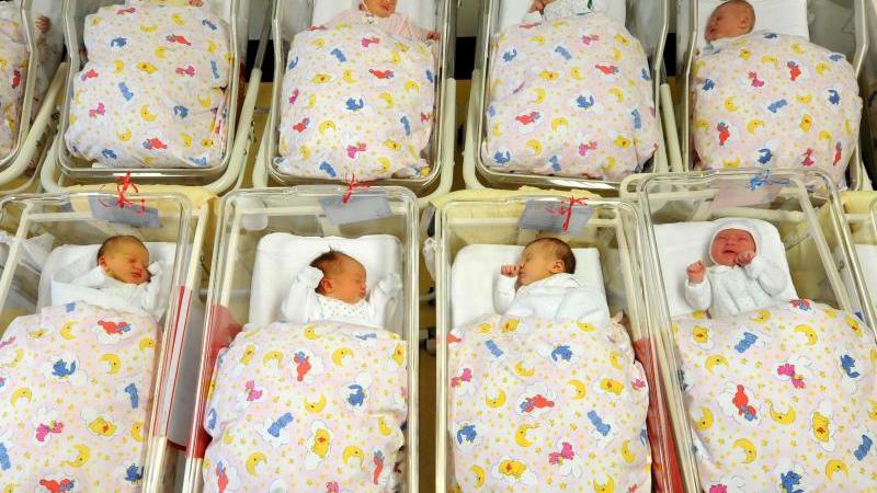 Geburtenrate in Berlin wieder rückläufig Babys auf einer Neugeborenenstation