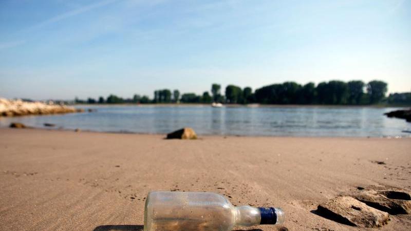 Großes Reinemachen am Rhein Leere Flasche am Rheinufer