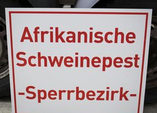 Wegen der aus Belgien und Osteuropa näher rückenden Afrikanischen Schweinep... weiterlesen