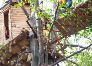 Während der großen Räumungsaktion im Braunkohlerevier Hambacher Forst ist e... weiterlesen