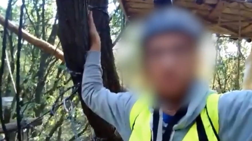 Schwerer Unfall im Hambacher Forst: Journalist stürzt 15 Meter in den Tod - Räumung wird vorerst ausgesetzt Tödlicher Sturz von Hängebrücke im Hambacher Forst
