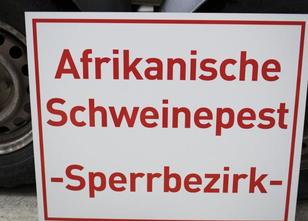 Um ein Übergreifen der gefährlichen Afrikanischen Schweinepest (ASP) vom be... weiterlesen